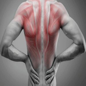 Soft Tissue Therapy